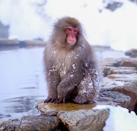 北信エリアの画像
